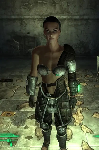 fallout 3 nude mods