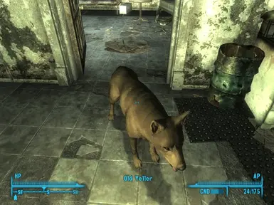 Old Yeller