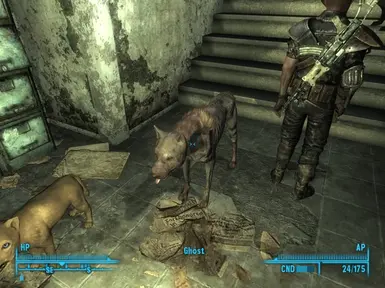 Ghost the Ghoul Dog