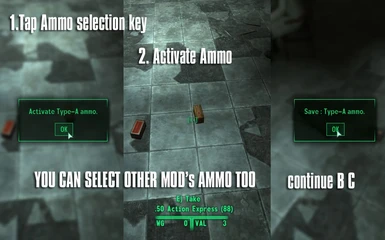 Optional File AMMO RESTRICTION FOSE 01