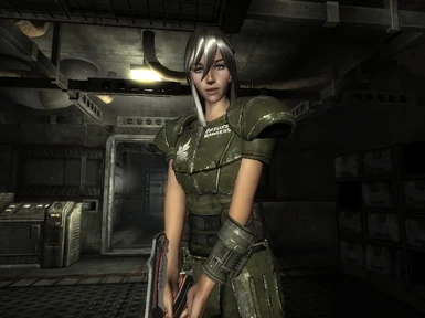 fallout 3 character mods
