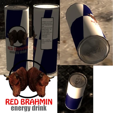Red Brahmin