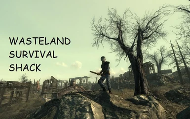 wasteland survival mods
