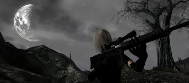 Ninja Sniper