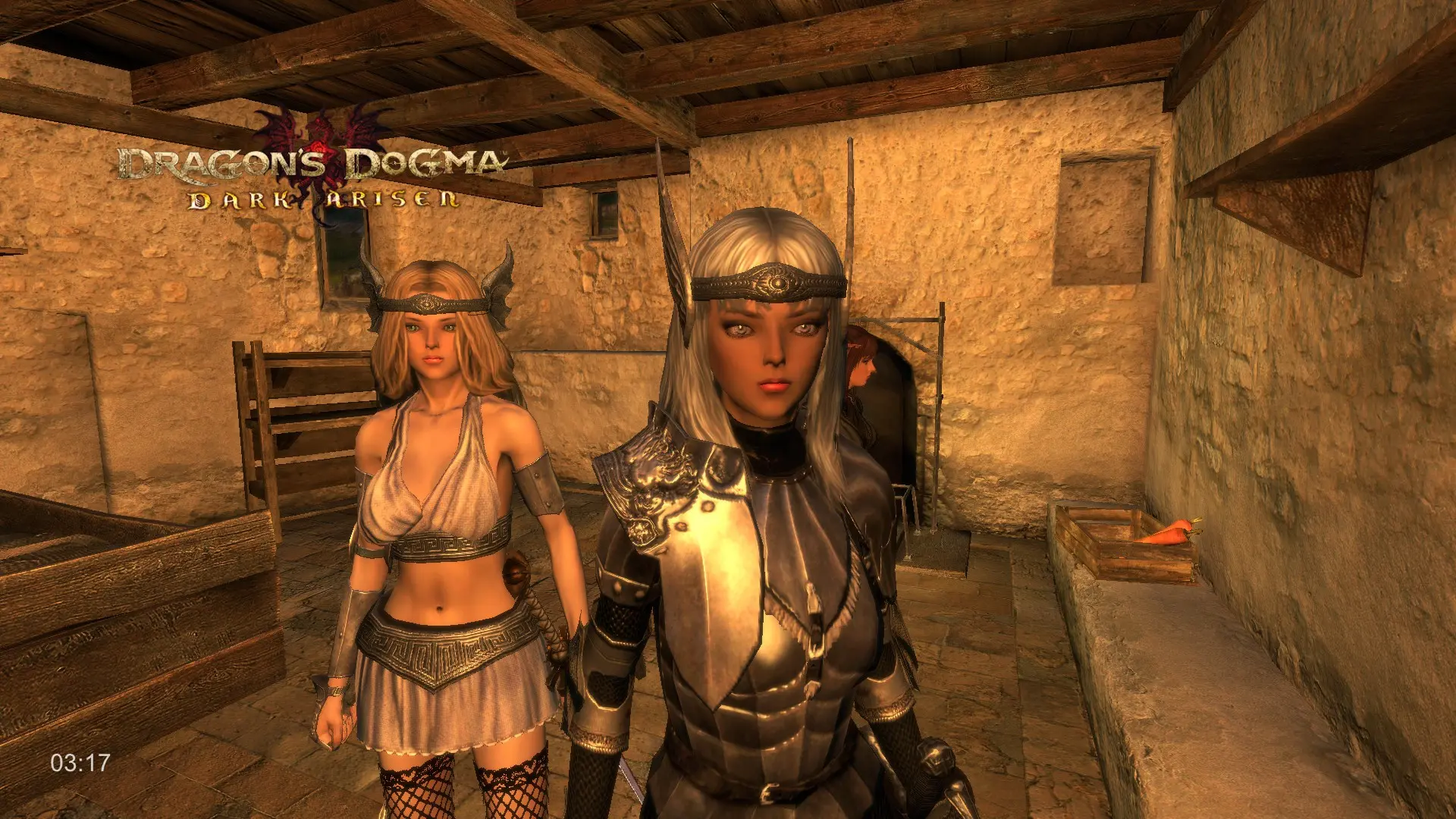 Priestess at Dragons Dogma Dark Arisen Nexus - Mods and community