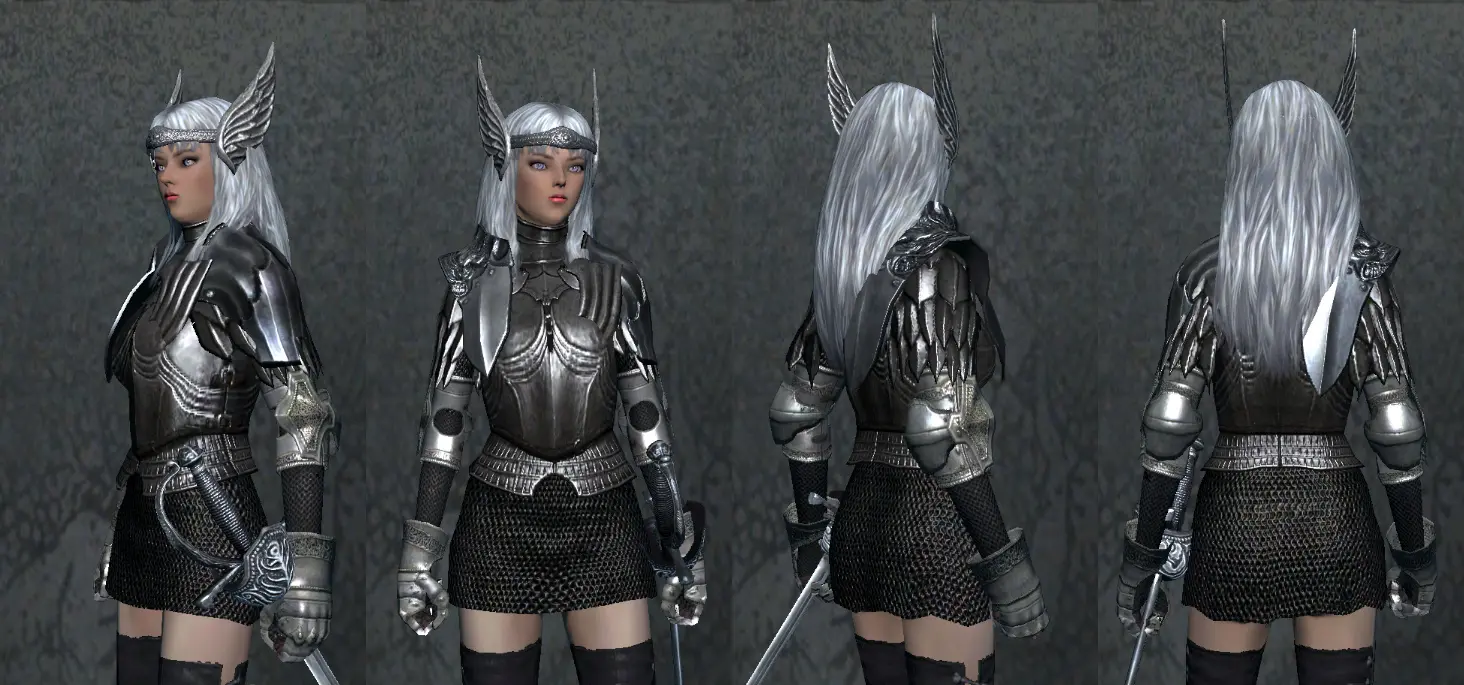 Female Paladin Style At Dragons Dogma Dark Arisen Nexus - Mods And ...