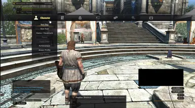 Pause Menu Category English Translation