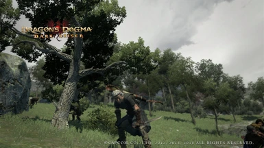 Dragons Dogma - Dark Arisen - SweetFX mod - gameplay PC [cinematic graphics  mod] Windows 10 - video Dailymotion