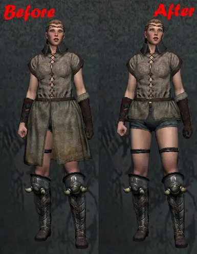 looks like I'm fallen for the skimpy arisen style (mod from ironarmjenkins)  : r/DragonsDogma