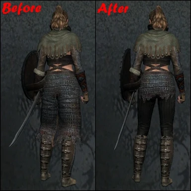 Chainmail Skirt Back