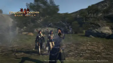 Don't Blind Me at Dragons Dogma Dark Arisen Nexus - Mods and community