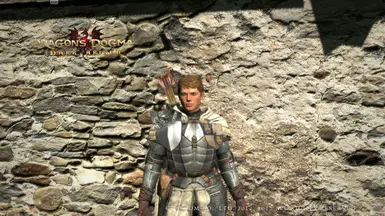 Best/most essential mods for Dragon's Dogma?