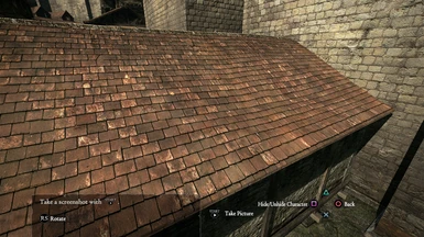 Alternate Roof Texture