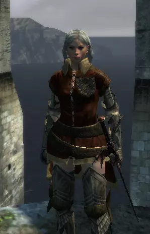 nexus mods dragons dogma nexus mods dragons dogma