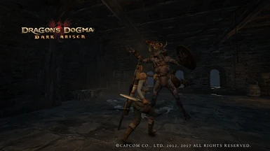 Mod categories at Dragons Dogma Dark Arisen Nexus - Mods and community