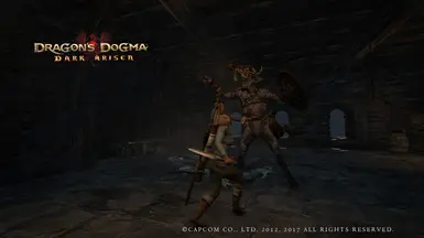 Dragon's Dogma Quest