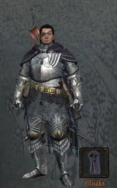 Dragon's Dogma: Gryphic Armor 