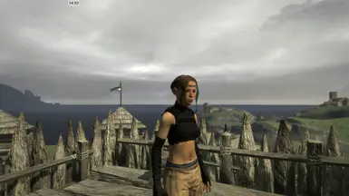Dragon Knight's Cloak