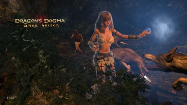 Priestess at Dragons Dogma Dark Arisen Nexus - Mods and community