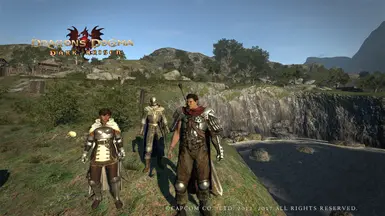 Coop's Simple Mod Pack at Dragons Dogma Dark Arisen Nexus - Mods and  community