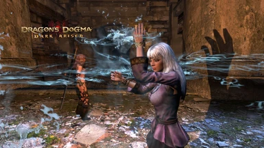 Don't Blind Me at Dragons Dogma Dark Arisen Nexus - Mods and community