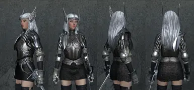 Dragon's Dogma: Gryphic Armor 