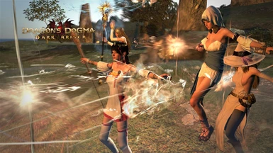Priestess at Dragons Dogma Dark Arisen Nexus - Mods and community