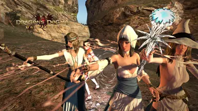 Priestess at Dragons Dogma Dark Arisen Nexus - Mods and community