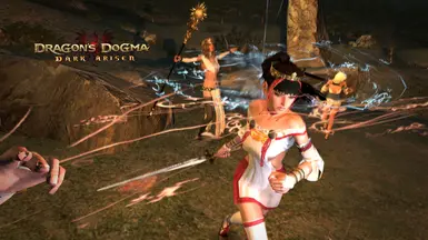 Priestess at Dragons Dogma Dark Arisen Nexus - Mods and community