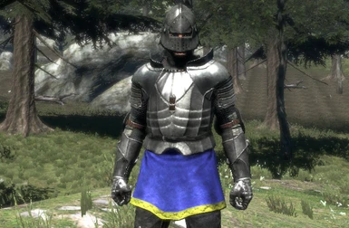 Iron Armor Knight