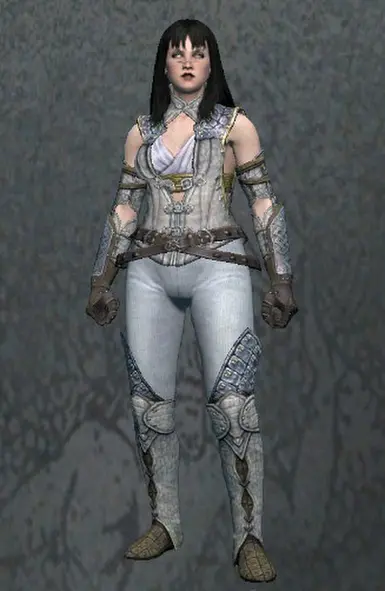 Priestess at Dragons Dogma Dark Arisen Nexus - Mods and community