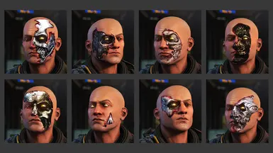 Ketaros Cyborg Scars