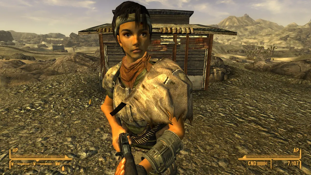 Satchels at Fallout New Vegas - mods and community