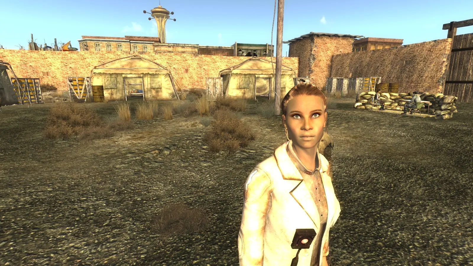 better faces fallout new vegas