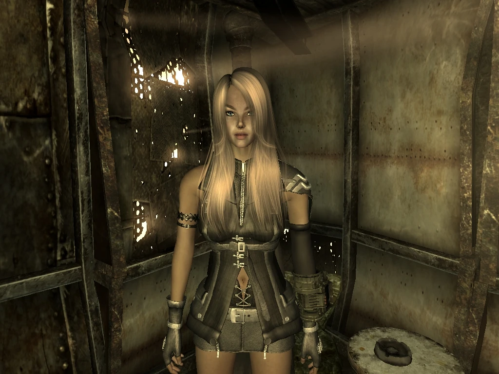 good mods for fallout new vegas