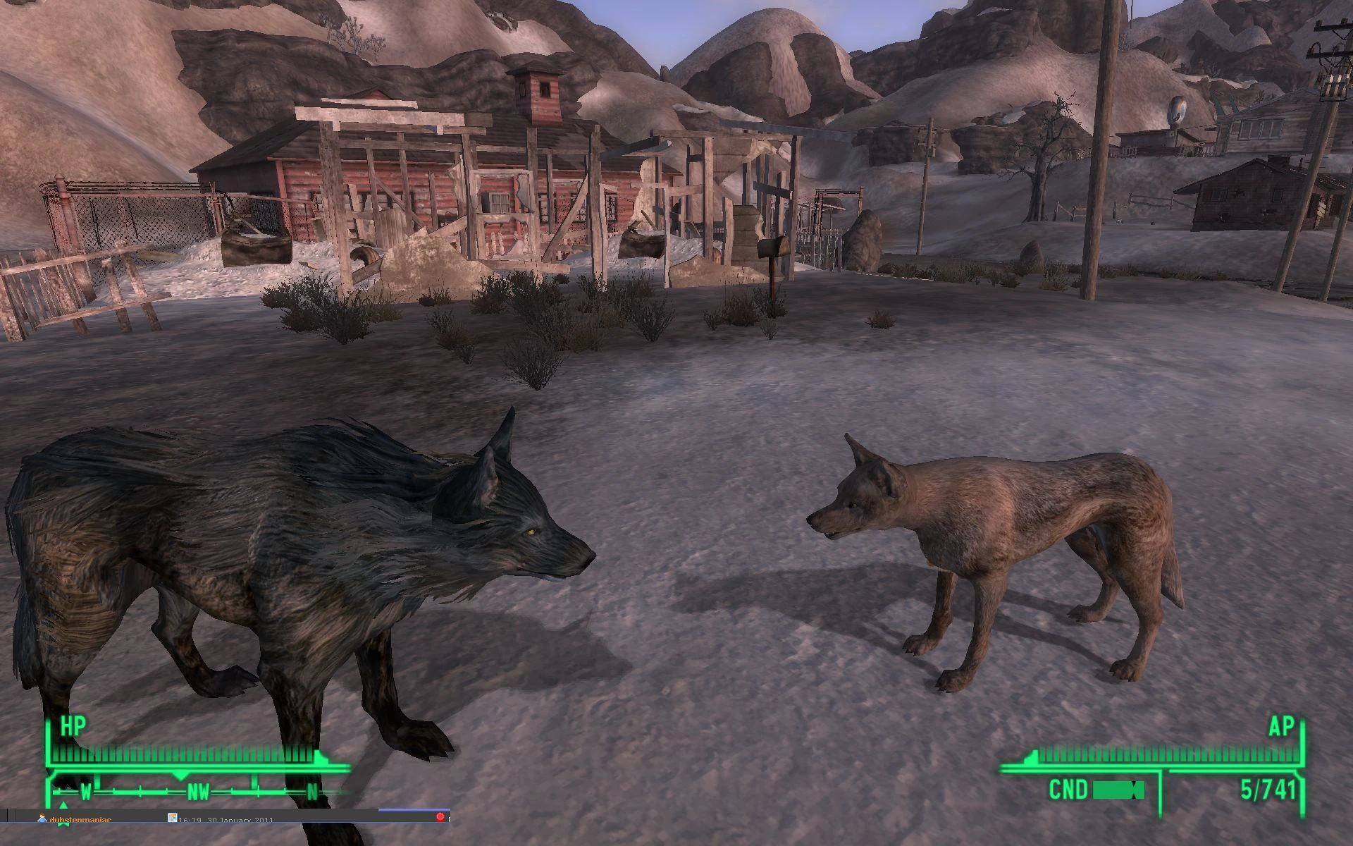 Fallout 4 волк компаньон фото 26