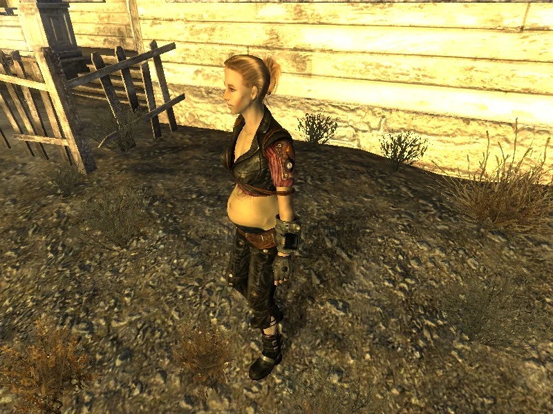 Pregnancy Armors At Fallout New Vegas Mods And Community