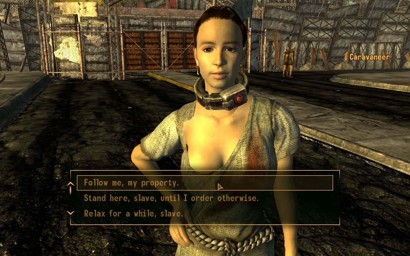 Slavery Simple At Fallout New Vegas Mods And Community