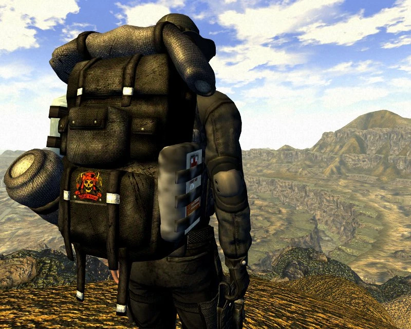 install mods on fallout new vegas pc