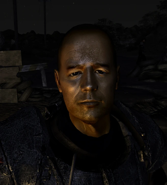 fallout new vegas face mod