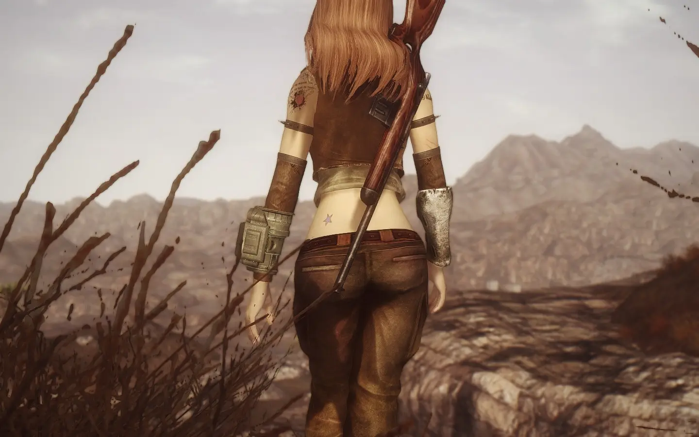 new vegas clothing mod