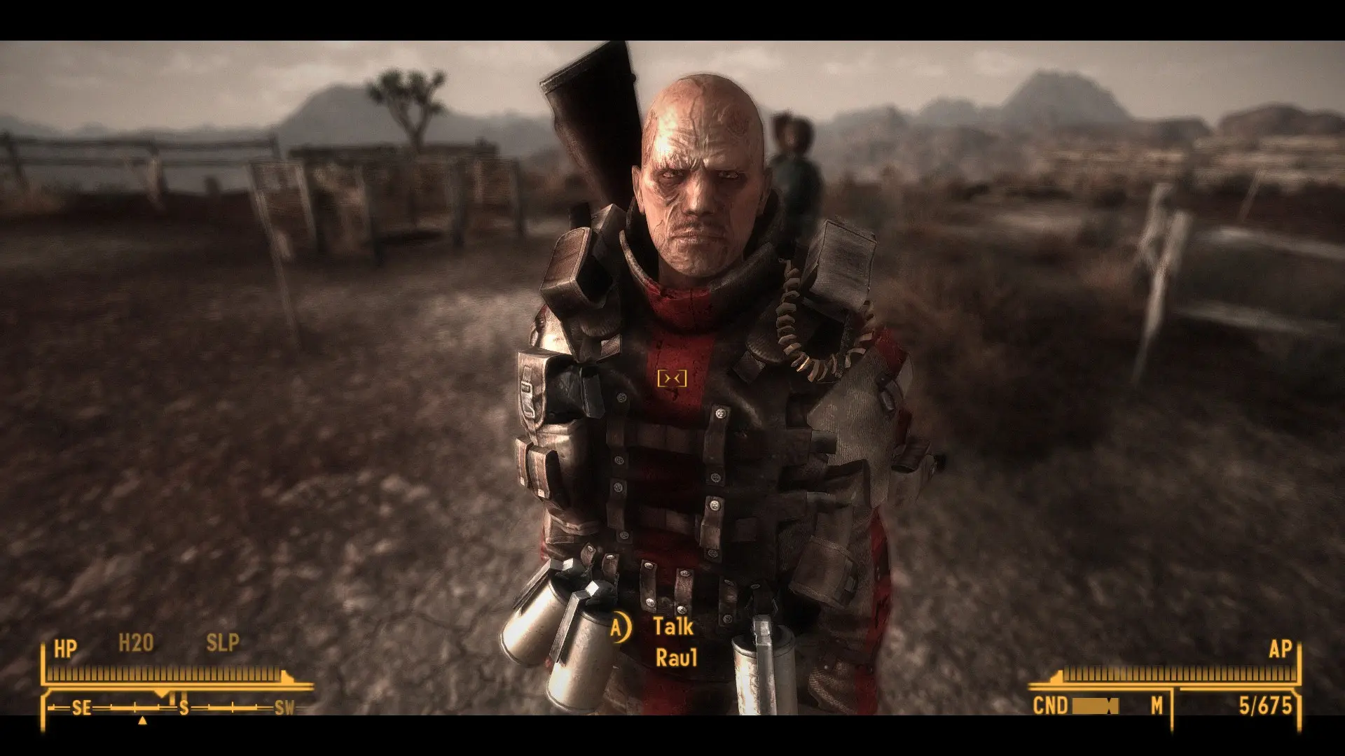 character overhaul new vegas