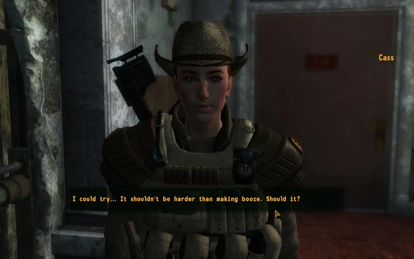 fallout new vegas cass mod