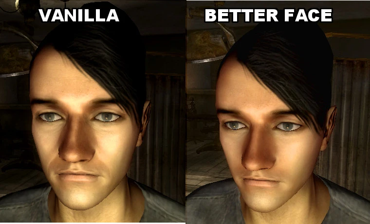 fallout new vegas face mods