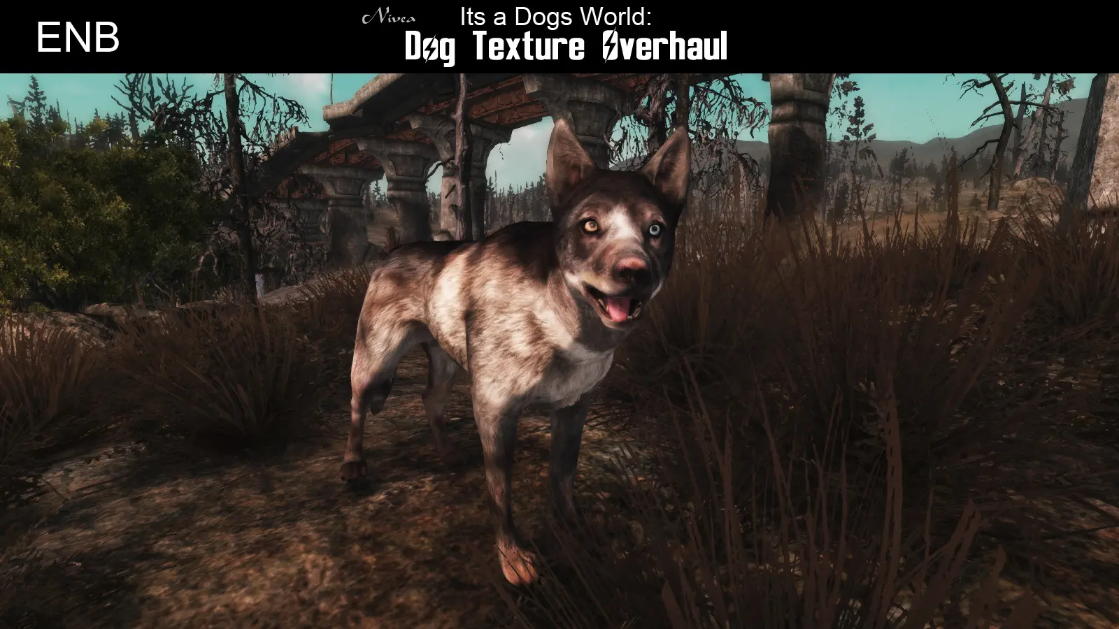 Its a Dogs World - Dog Texture Overhaul at Fallout New Vegas - mods and ...