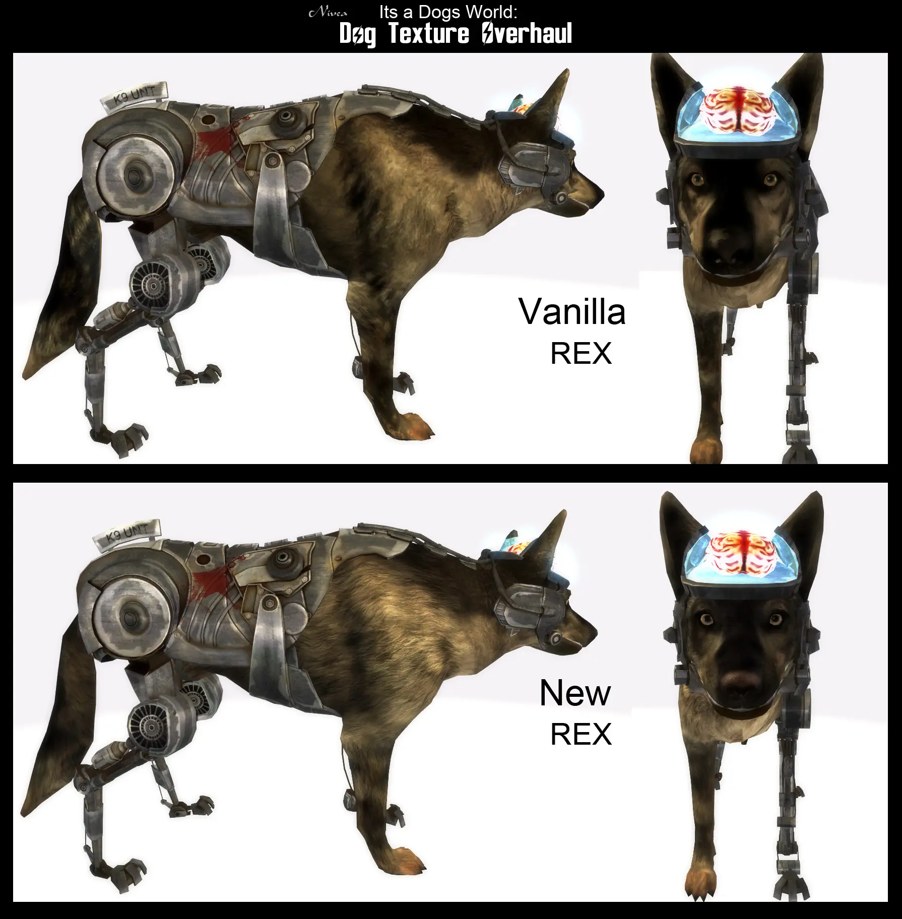 Its a Dogs World - Dog Texture Overhaul at Fallout New ...