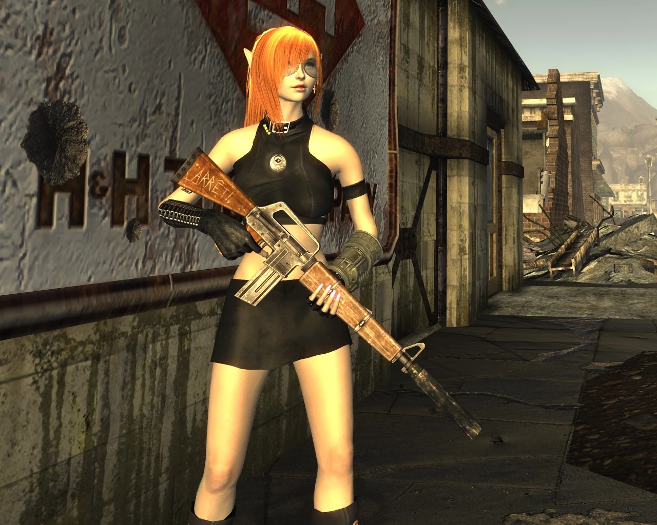 Fallout new vegas survival mods - mbaluda