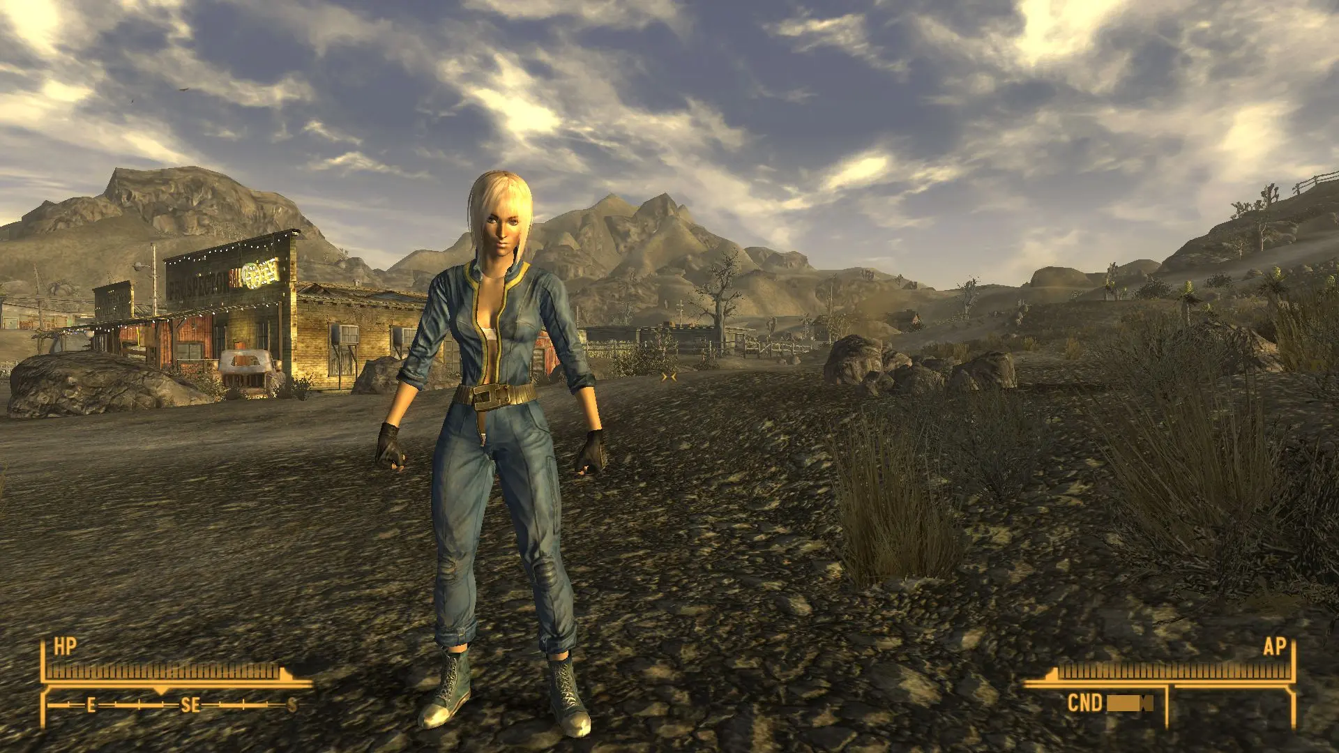 Masculine and Feminine Idle for Player only and more at Fallout New ...