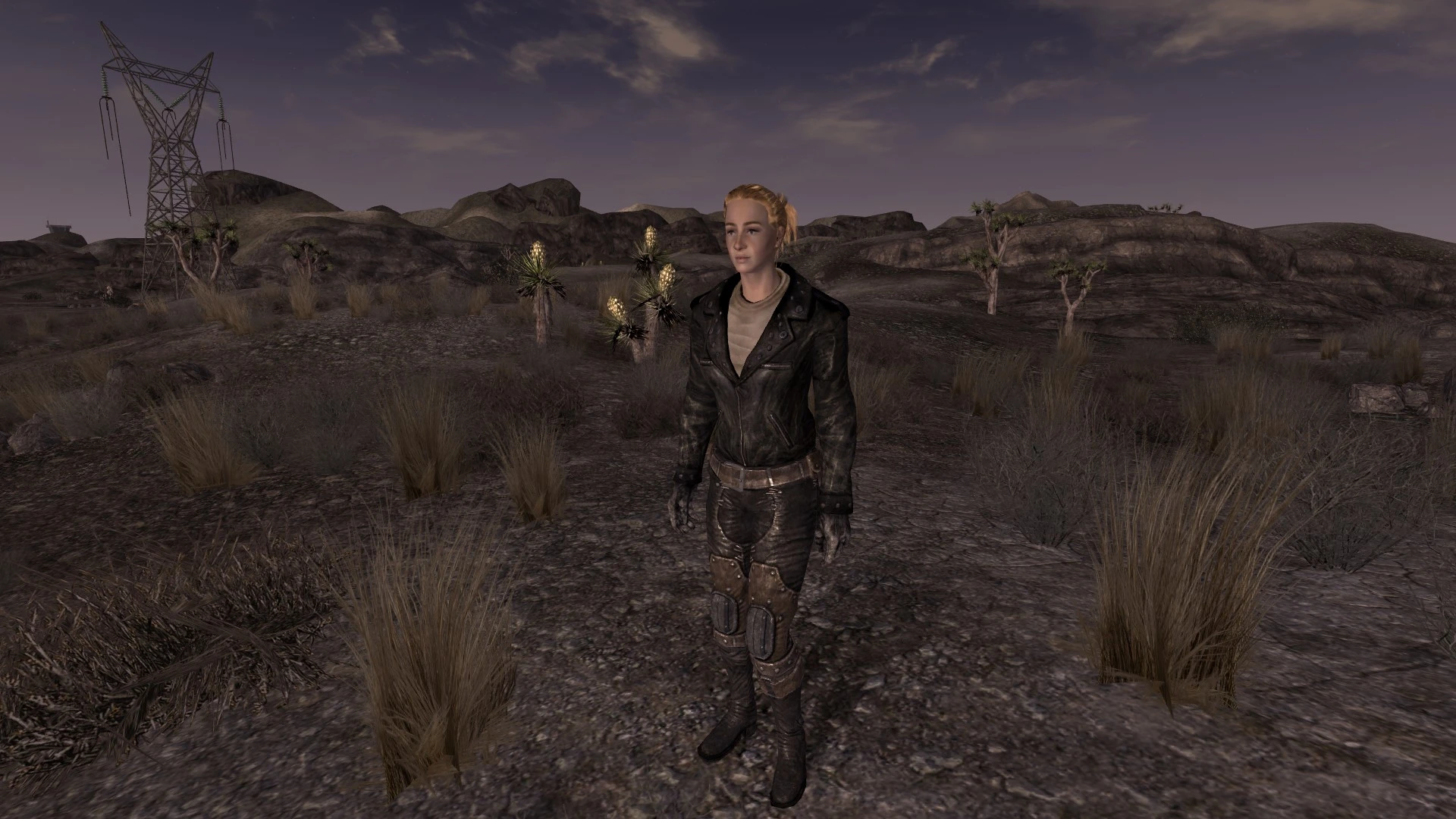 fallout new vegas leather jacket mod