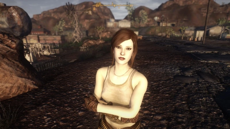 Mannequin Race NPC Overhauls at Fallout New Vegas - mods and community